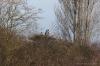 2IRYC 2024_03_03 0015